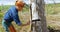 Lumberjacks marking on tree with spray 4k