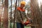 Lumberman in protective workwear and yellow helmet sawing tree with chainsaw in forest. Professional logging. Concentrated mature