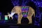 luminaria in the shape of a elephant