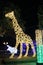 luminaria in the shape of a giraffe