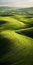 Luminescent Green Field: A National Geographic Photography