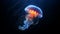 A luminescent jellyfish in ocean