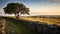 Luminist Landscape: Serene Tree And Stone Wall On English Moors