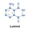 Luminol chemical chemiluminescence