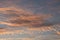 Luminous clouds in the evening sky with the silhouette of a lonesome bird