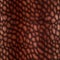 Luminous Crocodile Skin Texture In Brown Colors