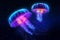 Luminous Depths: Bioluminescent Jellyfish. Ai generated