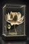 luminous Lotus in display case, transparent Ai generated
