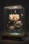 luminous Lotus in display case, transparent Ai generated