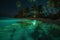luminous ocean paradise palm night blue vacation beach tree tropical sky. Generative AI.
