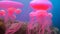 Luminous pink creative jellyfish of the deep sea, clear water Generative AI