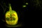 Luminous pumpkins in the dark for the autumn Halloween holiday. Jack`s grinning head. magical bright neon green light in the dark