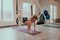 In a luminous studio of yoga lady concentrated practicing the stretching body and legs using a special support elastic