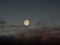 Luna de nieve en la oscuridad y un pÃ¡jaro negro