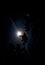 Lunar corona ,Halo optical phenomenon
