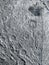 Lunar Craters: Close-Up of Moon Texture Background