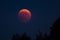 Lunar eclipse - blood moon - moon - eclipse - lunar