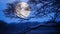 Lunar Embrace: Nature\\\'s Silhouette Against the Blue Moon\\\'s Glow