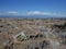 The Lunar landscape of Los Hoyos, the Grey Desert, part of Colombia`s Tatacoa Desert. The area is an ancient dried forest and pop