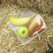 Lunchbox with an apple, a banana and a sandwich. Conceptual image shot