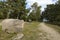 Luneburg Heath - Hike path and stone rock