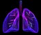 Lung. Abstract 3d lungs. Human health, respiratory system, pneumonia, biological sciences, smoker's asthma