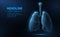 Lung. Abstract vector 3d lungs isolated on blue background. Human health, respiratory system, pneumonia illness, biology