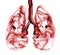 Lung cancer illustrated as smoke shaped as lungs