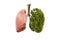 Lung green tree-shaped images, medical concepts, autopsy, 3D display and animals as an element