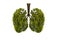 Lung green tree-shaped images, medical concepts, autopsy, 3D display and animals as an element