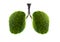 Lung green tree-shaped images, medical concepts, autopsy, 3D display and animals as an element