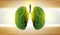 Lung green tree-shaped images, medical concepts, autopsy, 3D display and animals as an element