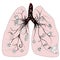 Lung health vector