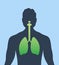 Lung human icon, respiratory system healthy lungs anatomy flat medical organ icon