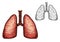 Lung organ of human anatomy isolated sketch