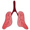 The lung of the patient. An air breathing organ with a capillary network is more prone to complications from COVID19 infection.