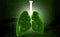 lungs