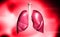 lungs