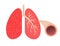 Lungs and bronchi.Bronchial tube.Vector illustration.