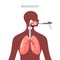 Lungs diagnostic vector design in flat style