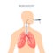 Lungs diagnostic vector design in flat style