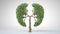 Lungs of the Earth. Tree in the shape of Lungs. Eco Concept