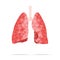 Lungs faceted