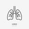 Lungs flat line icon. Vector thin pictogram of human internal organ, outline illustration for pulmonary clinic