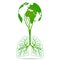 Lungs with Green tree earth and leaf tree. Design like healthy lung. Health care and clean air concept