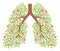 Lungs healthy