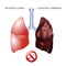The lungs of a healthy person and smoker