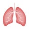 Lungs icon flat style. Human internal organ Isolated on white background. Medicine concept, Anatomy, Logo, Healthcare.