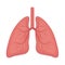 Lungs icon, flat style. Internal organs of the human design element, logo. Anatomy, medicine concept. Healthcare