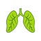 Lungs icon.Nature lungs vector illustration.